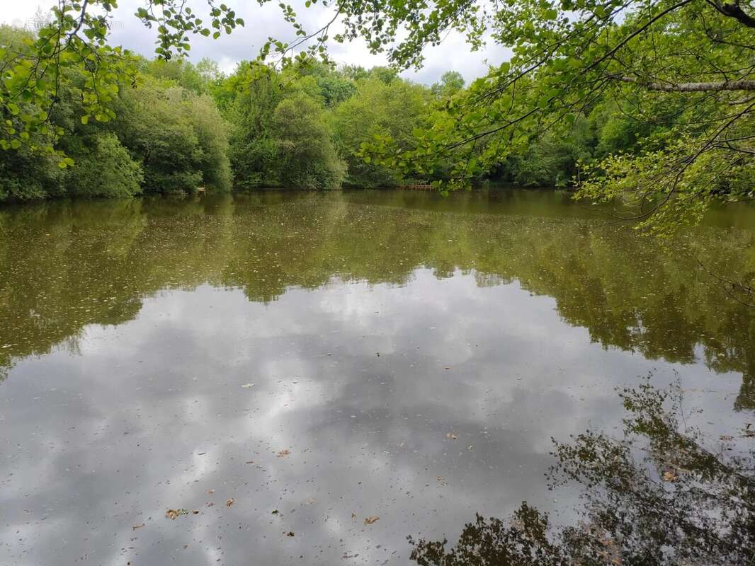 Terrain à ORADOUR-SUR-VAYRES