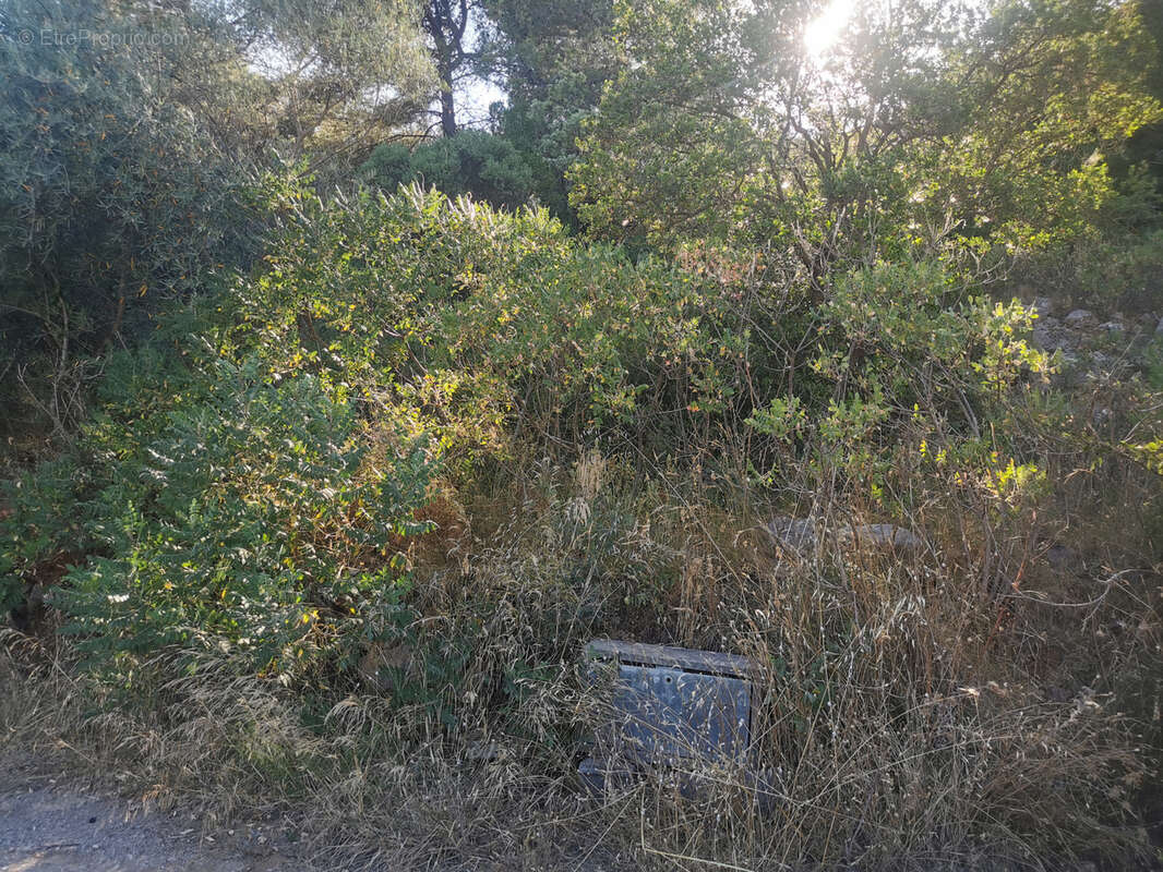 Le Luc terrain arboré de 400m2 vue panoramique - photo 2