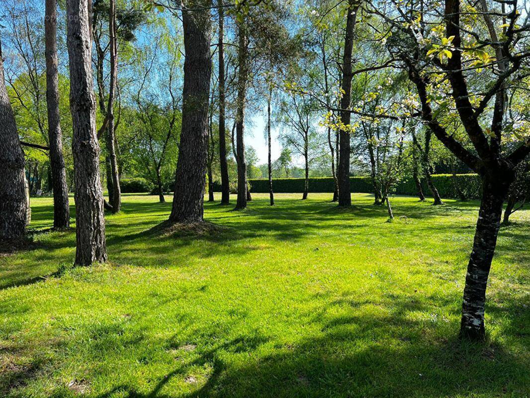 Terrain à PLESSE