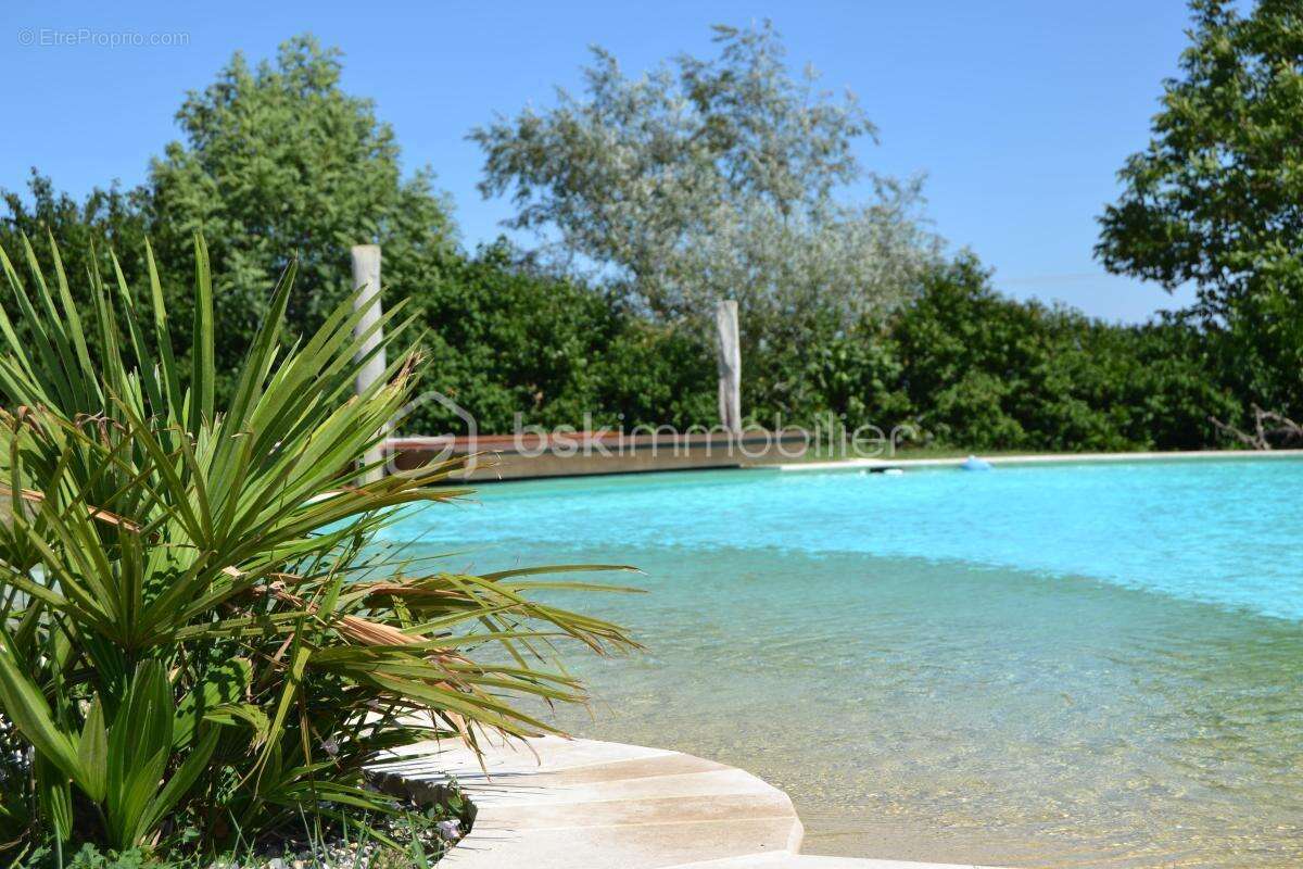 Longère de 275 m² avec dépendances et piscine - photo 16