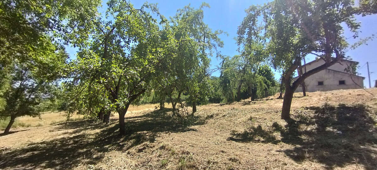Maison au calme sur 5000 m2 de terrain - photo 3