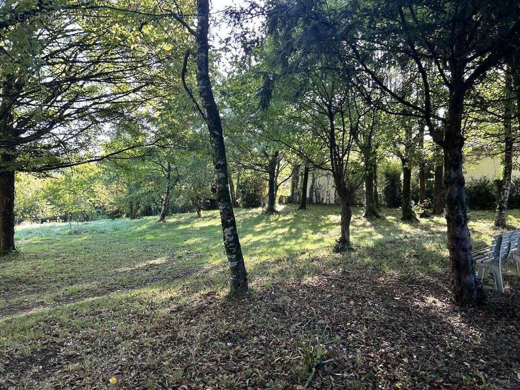 IMG2308 - Terrain à NIORT