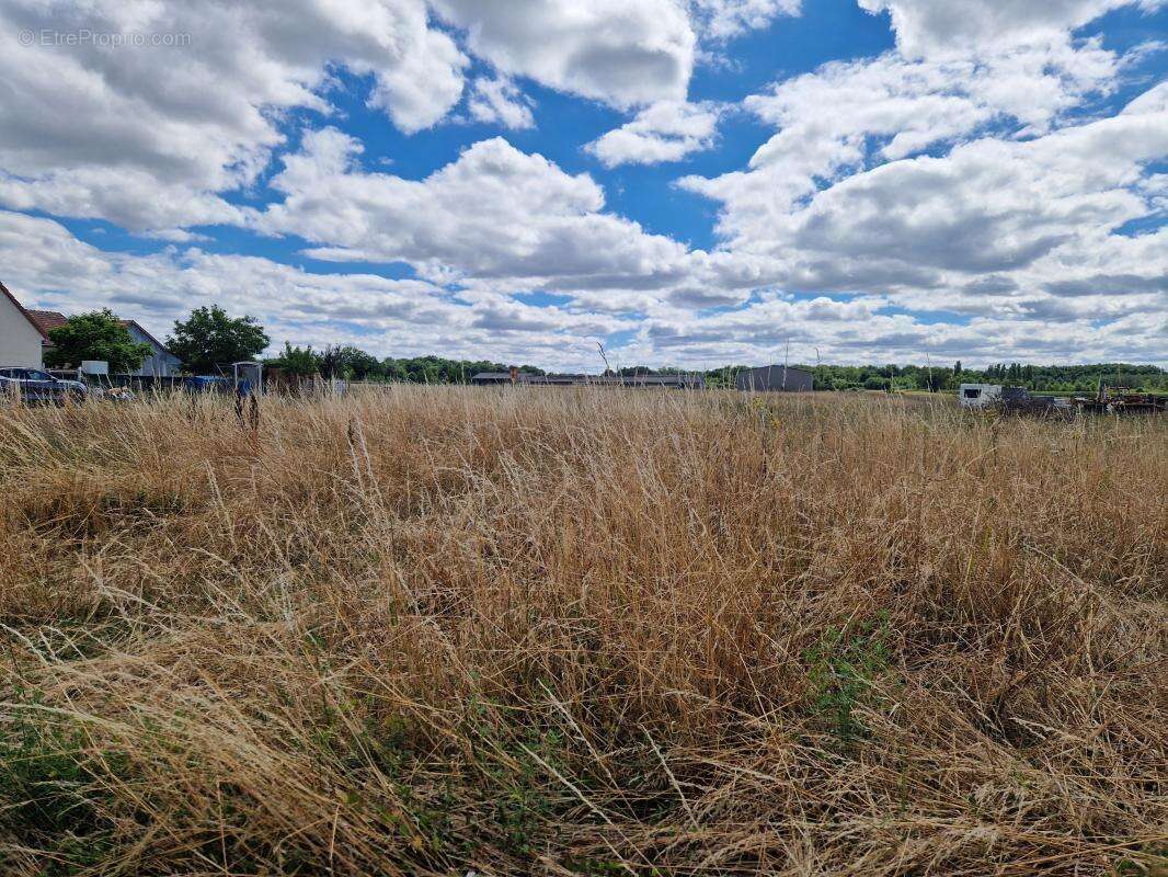 Terrain à CHATILLON-SUR-CHER