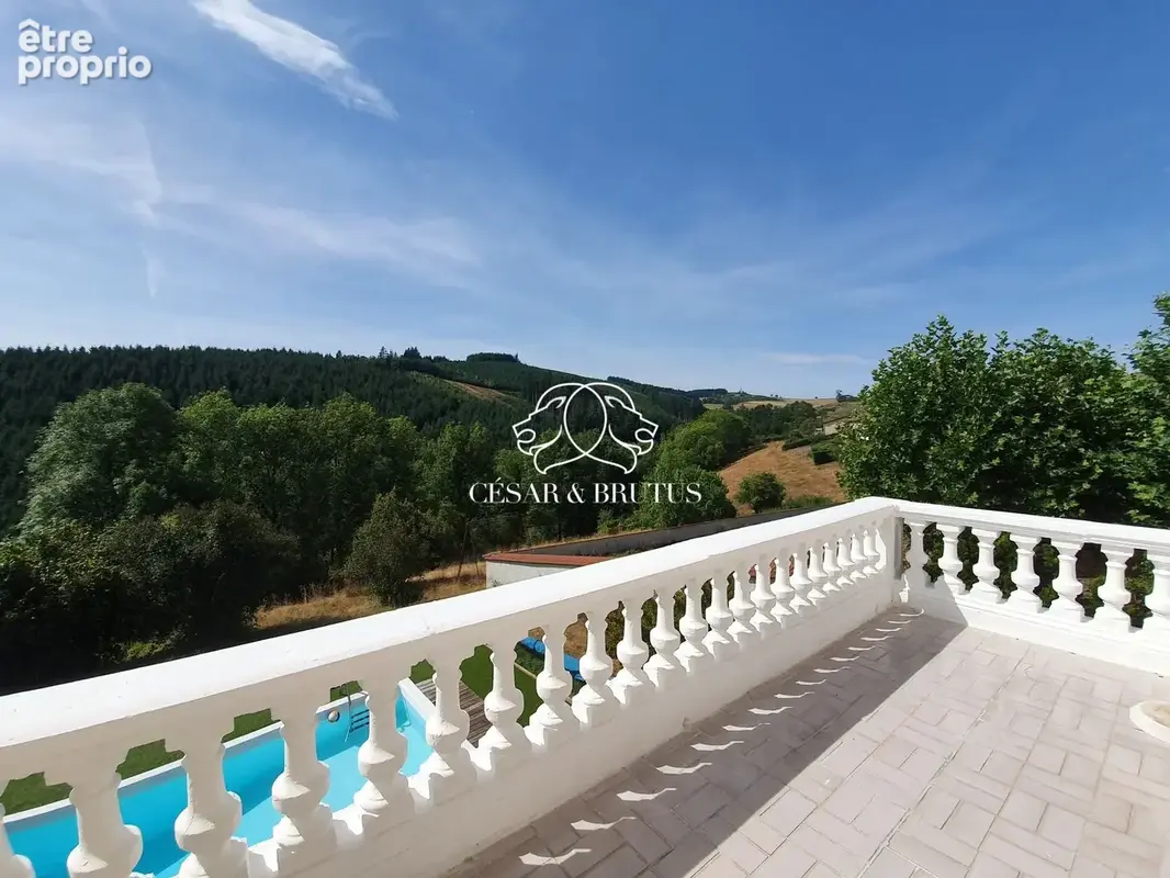 Maison 9 pièces 200 m² à vendre à Saint-Vincent-De-Reins (69240) - photo 4