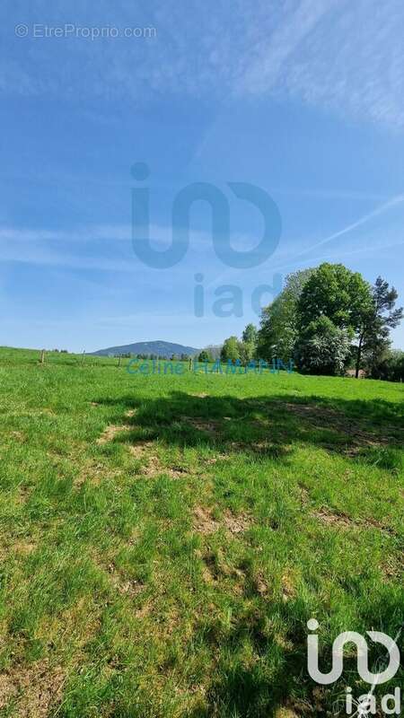 Photo 3 - Maison à SAINTE-MARGUERITE