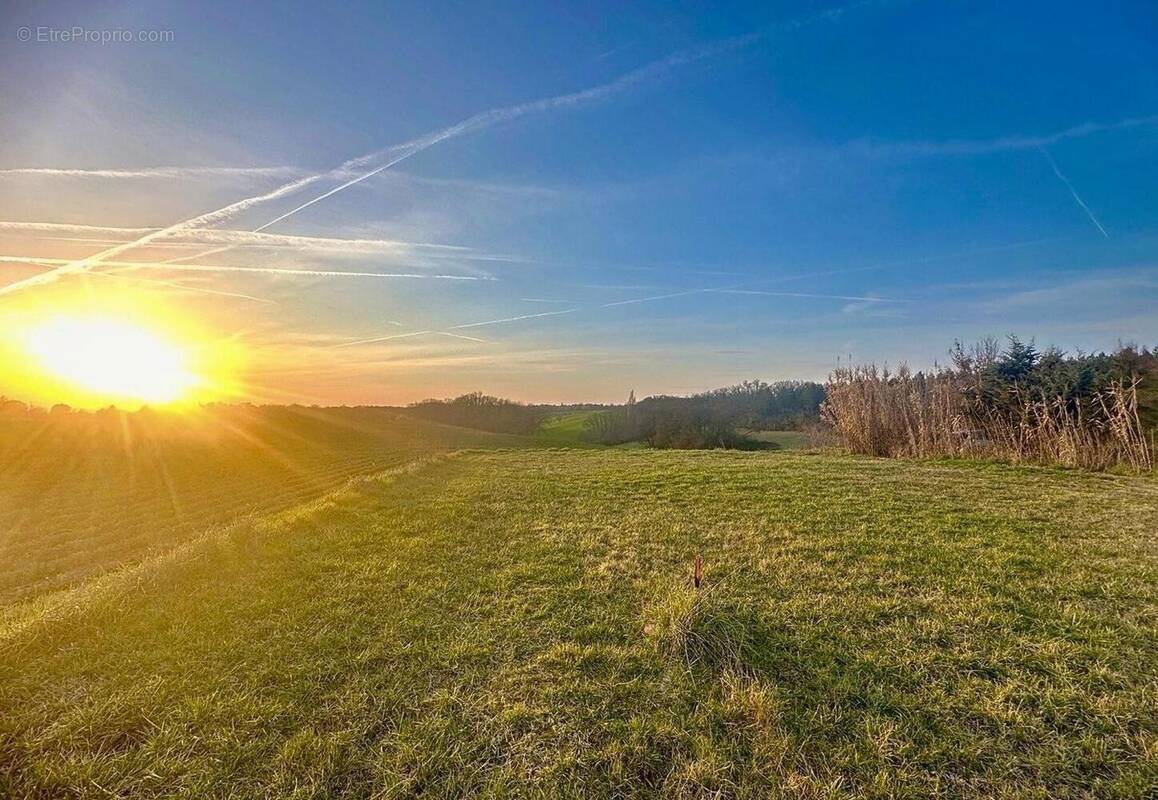 Photo 1 - Terrain à VILLENEUVE-LES-BOULOC