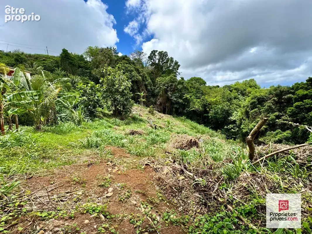 Nouveaute- terrain constructible 2 480 m² - vue mer -sainte-luce - photo 2