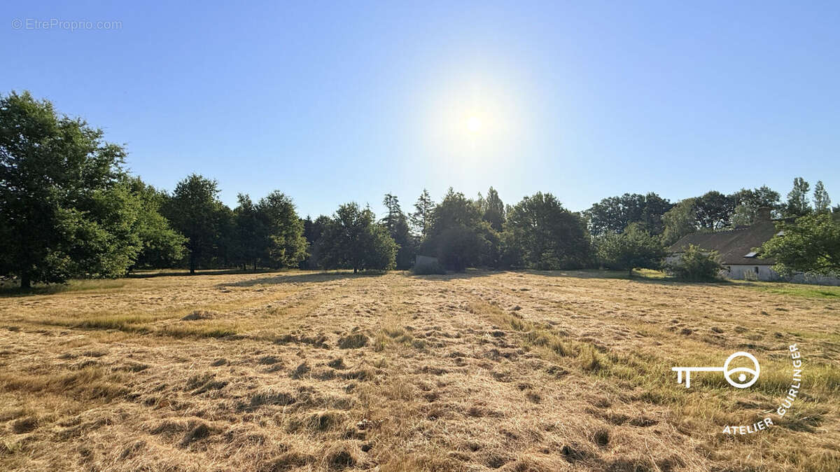 Montrieux-en-Sologne ! Propriété de charme avec étang et dépendances, un art de vivre au coeur de la nature - photo 17