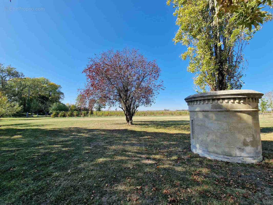 Batisse en pierre de style Directoire avec vignes et piscine - photo 6