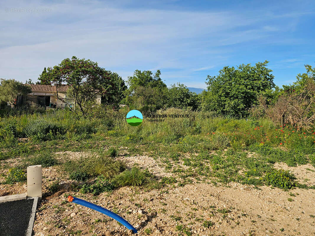 Terrain à CARPENTRAS