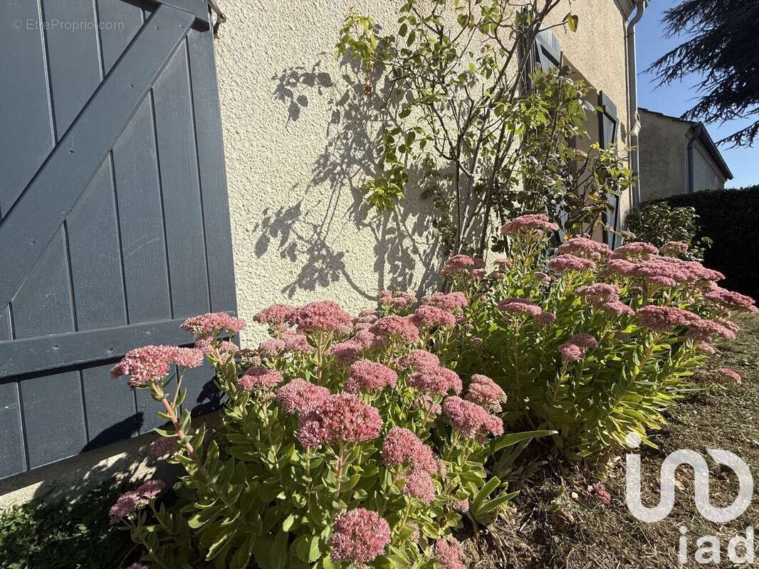 Photo 8 - Maison à ANDRESY