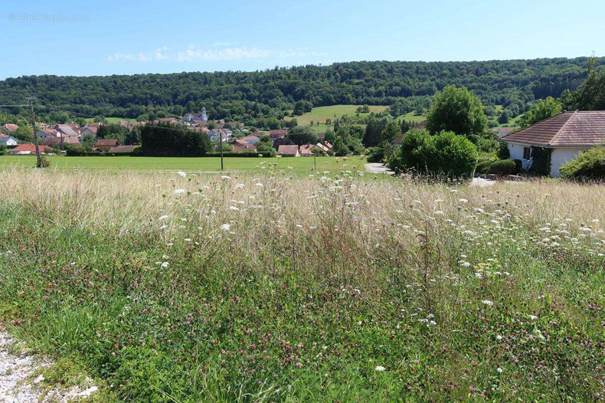 Terrain à RUREY