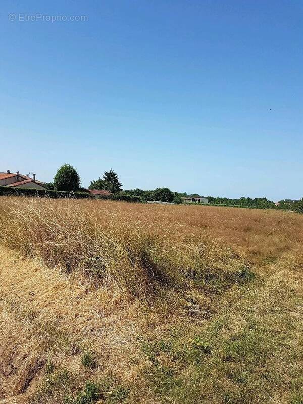 Terrain à LAMONZIE-SAINT-MARTIN