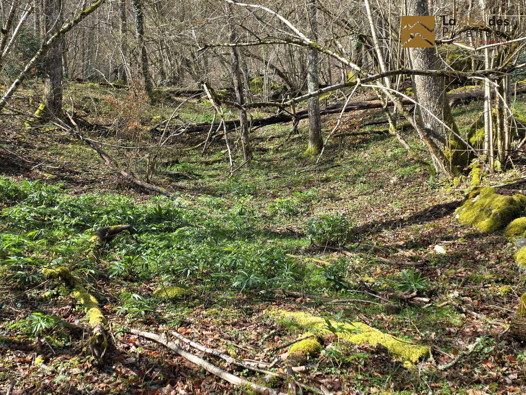 Terrain à ARRAS-EN-LAVEDAN