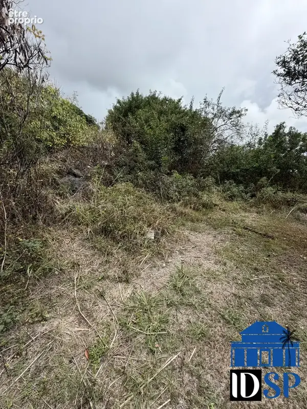 Terrain 557 m² à vendre à Saint-Paul (97411) - photo 5