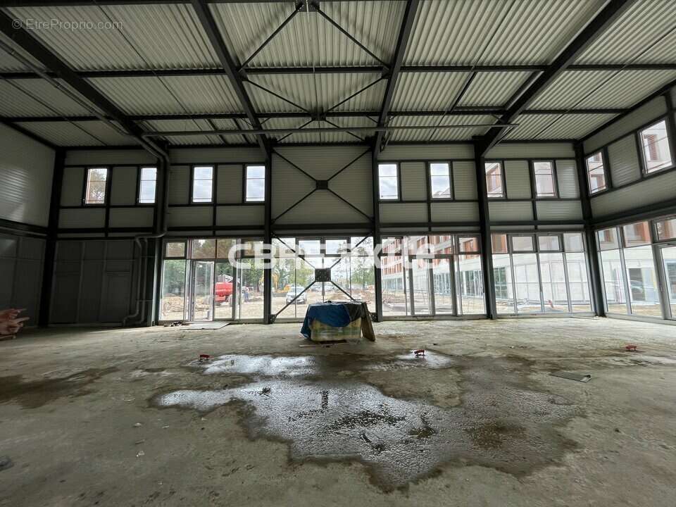 761 m² à Ferney-Voltaire  - photo 6