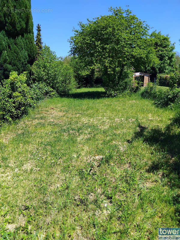À saisir à auxi-le-château   idéal premier achat ou investisseur ! - photo 7