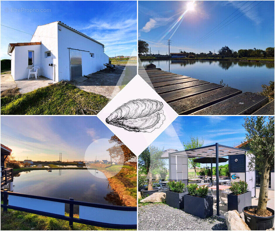 Terrain à BOURCEFRANC-LE-CHAPUS