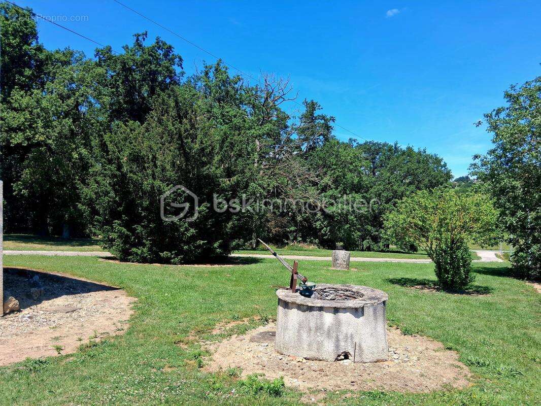 Maison de caractère de 130 m² avec hangar de 300 m² – Terrain de 8 391 m² – Dolmayrac - photo 4