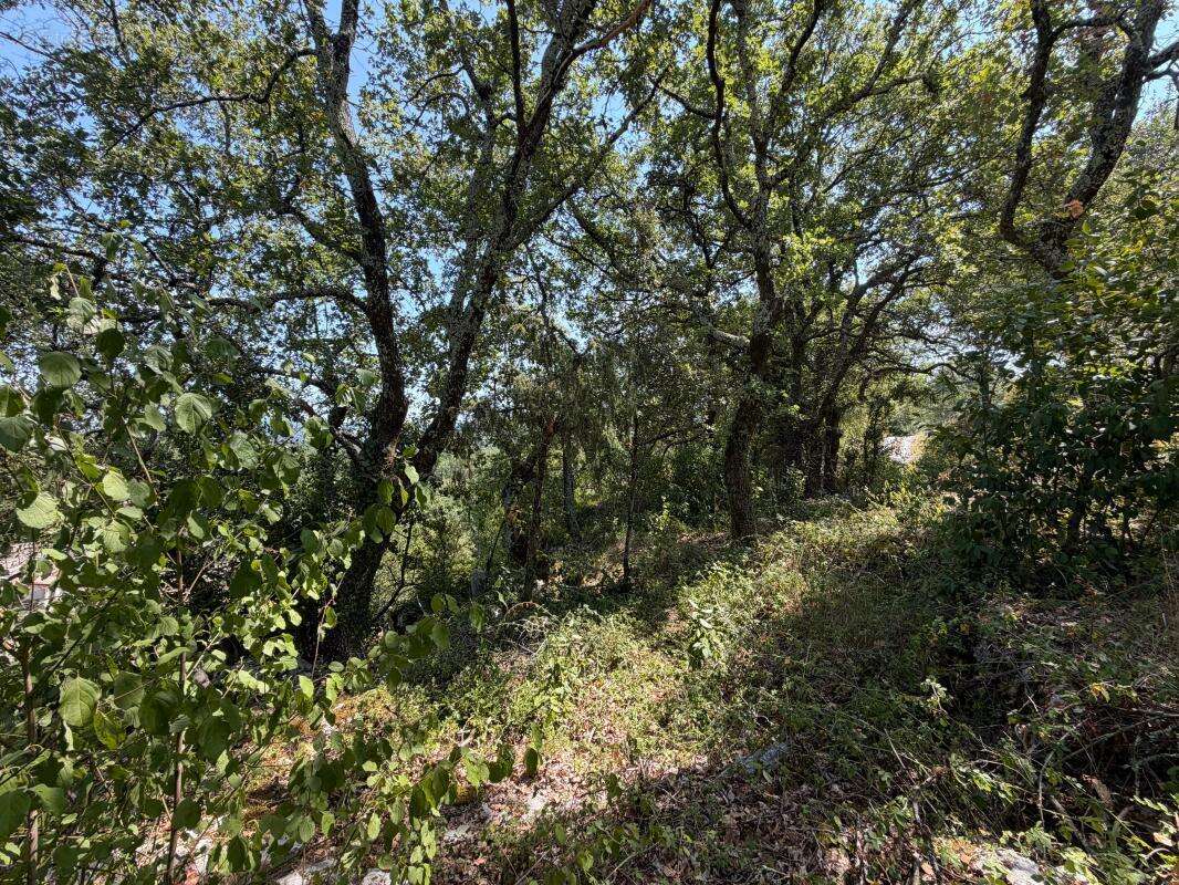Terrain À Vendre 1500 m² - photo 10