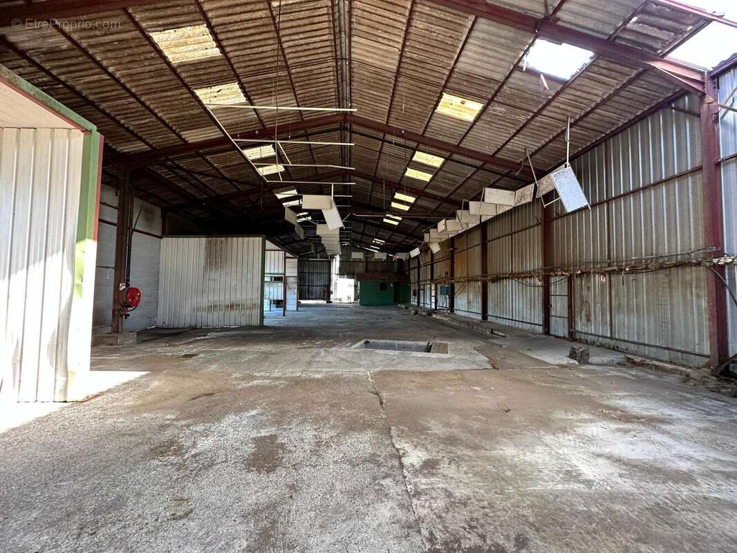 Commerce 4000 m² à Mont-De-Marsan  - photo 5
