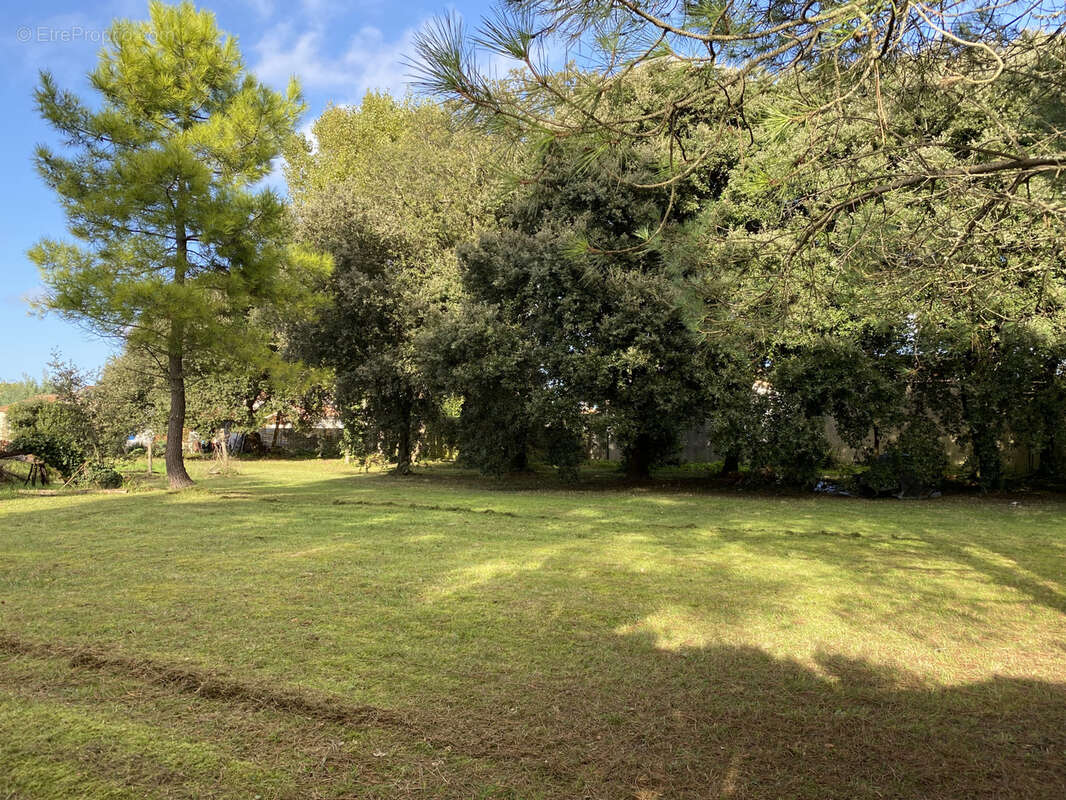 Terrain à SAINT-GEORGES-D&#039;OLERON