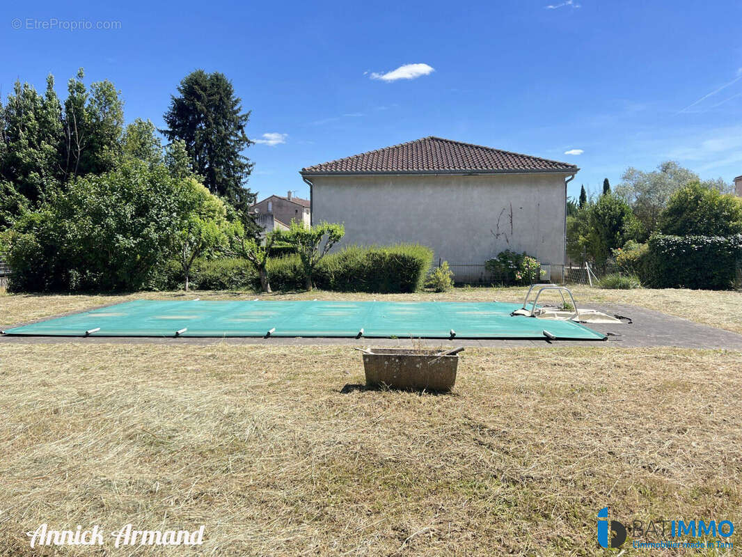 Jardin / Piscine - Maison à ALBI