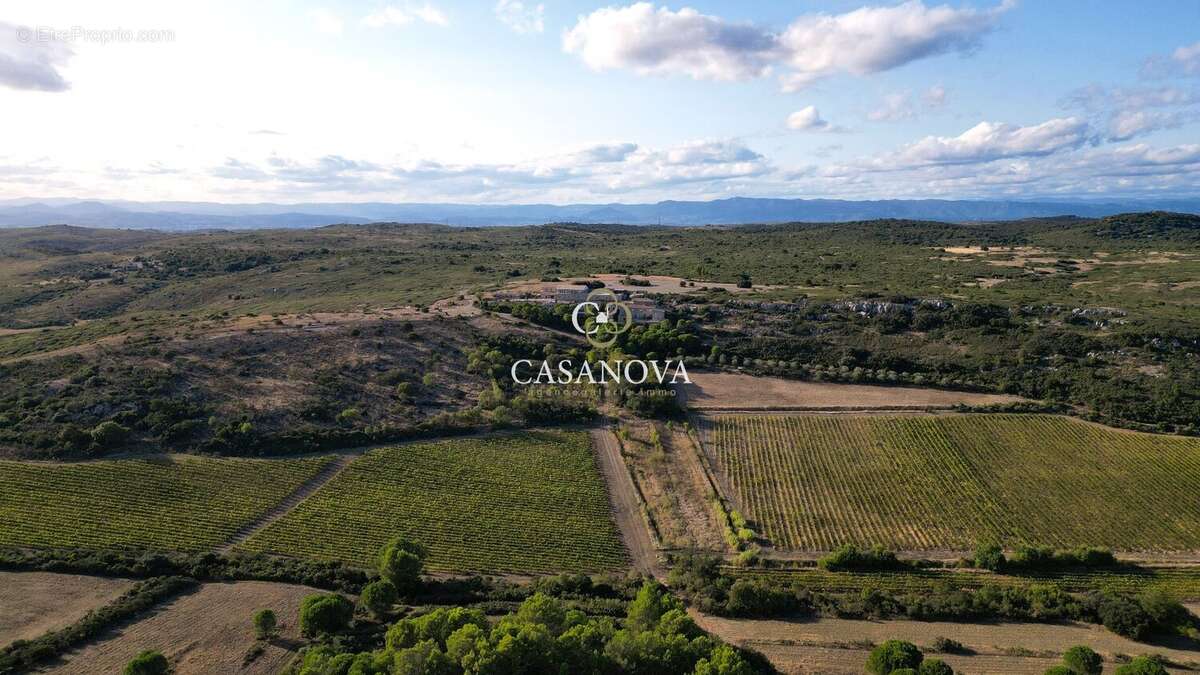 Propriété de 211 hectares- mas en pierre - vignoble - réception - photo 3
