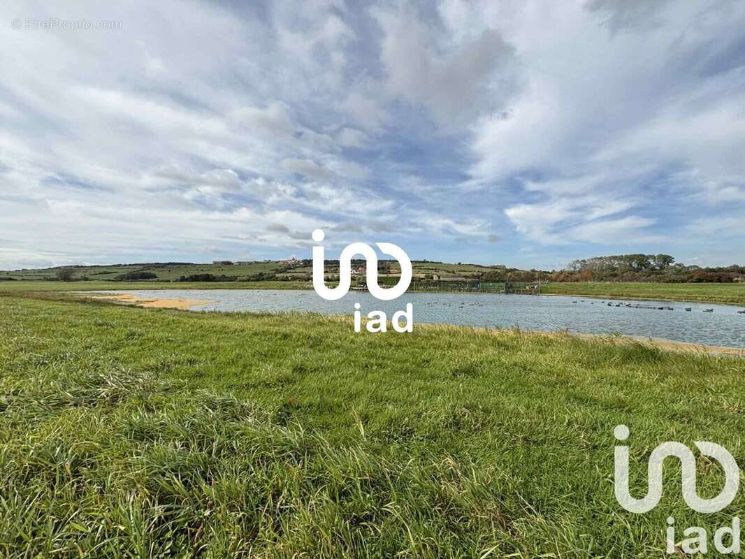 Photo 3 - Terrain à MARQUISE