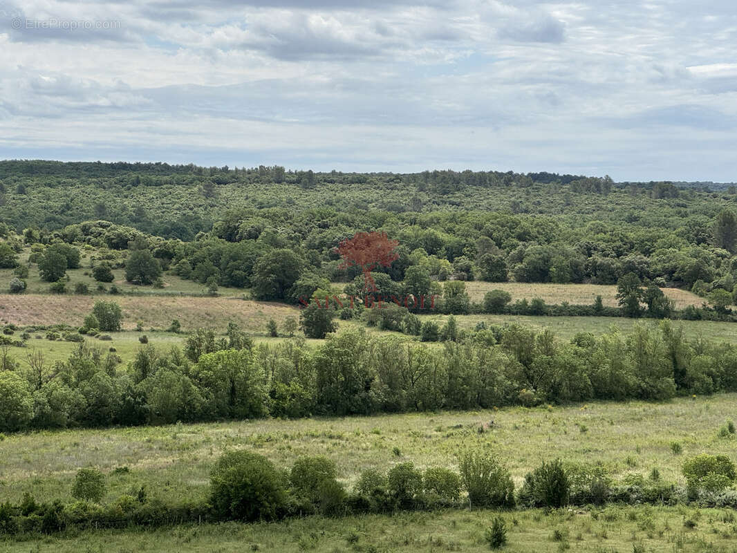 La boissiere vente maison vigneronne avec jardin - photo 4