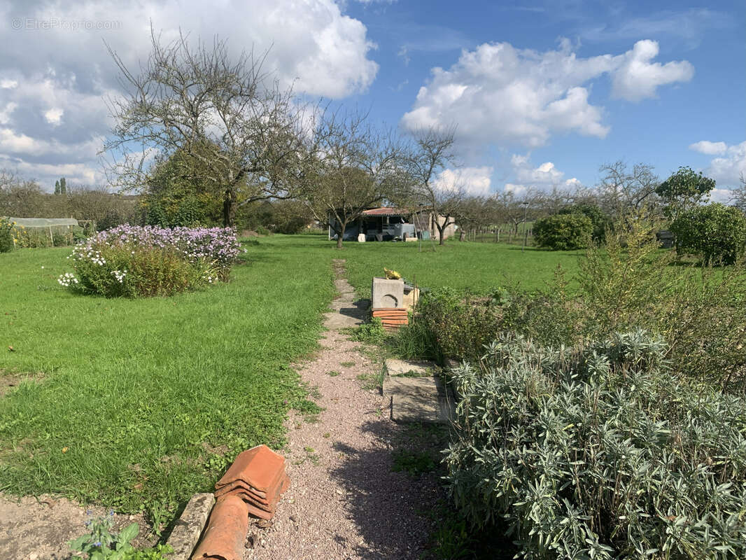 Maison à FRENELLE-LA-GRANDE