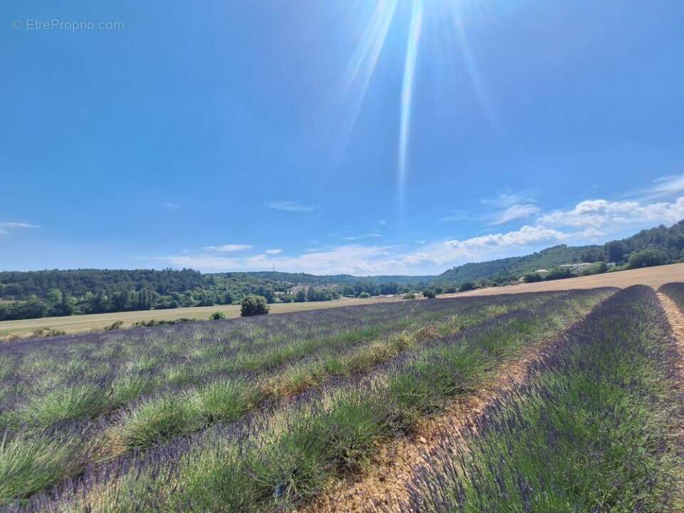 Terrain 777 m² à Roumoules  - photo 2
