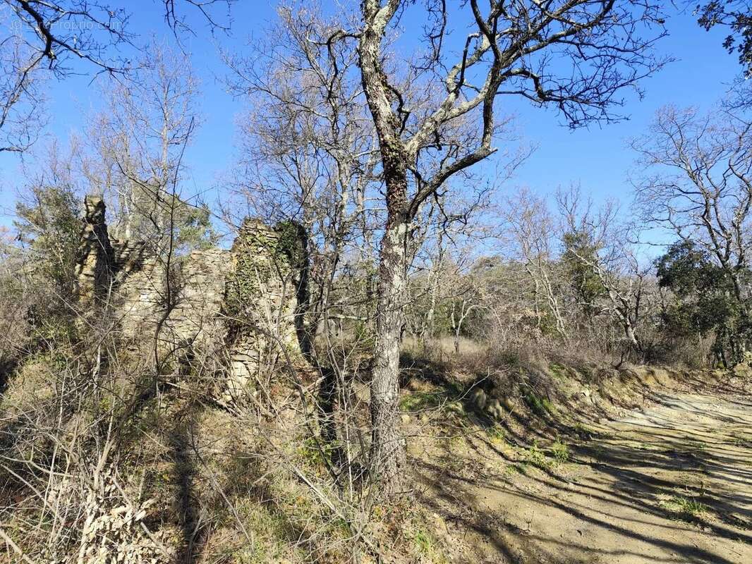 Terrain à LA BRUGUIERE