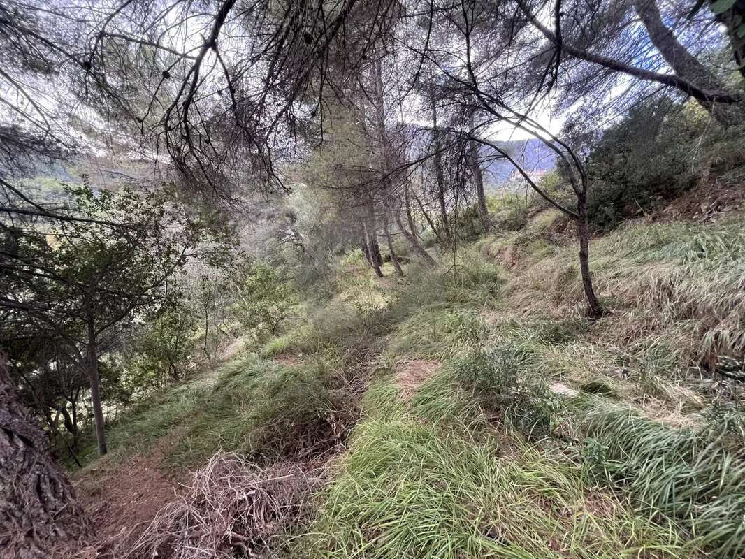 Terrain à MENTON