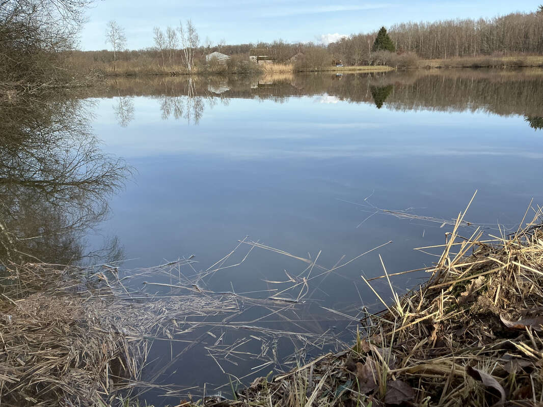 Terrain à MAGNIVRAY