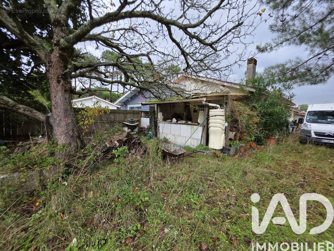 Photo 1 - Maison à VENDAYS-MONTALIVET