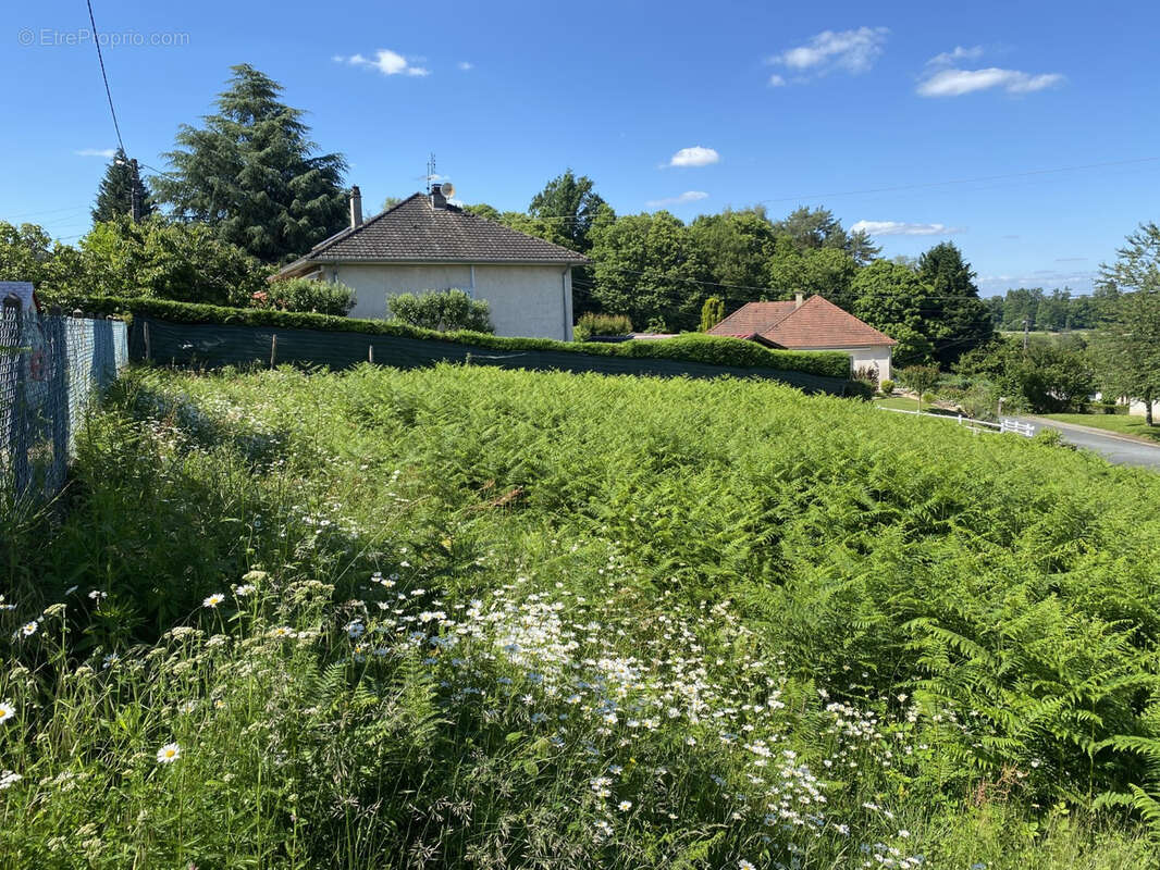 Terrain à SAINT-SORNIN-LAVOLPS