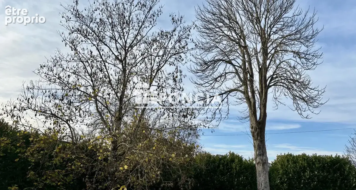 Commune de COULON proche Niort - photo 19