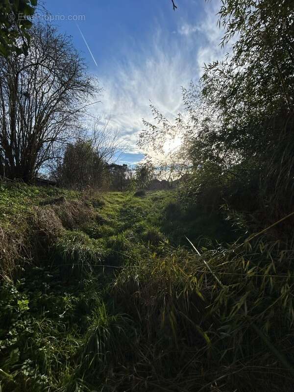 Maison à CHATEAUPONSAC