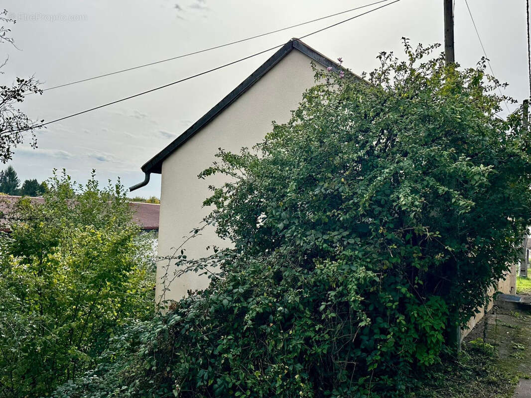 Maison à AILLEVILLERS-ET-LYAUMONT