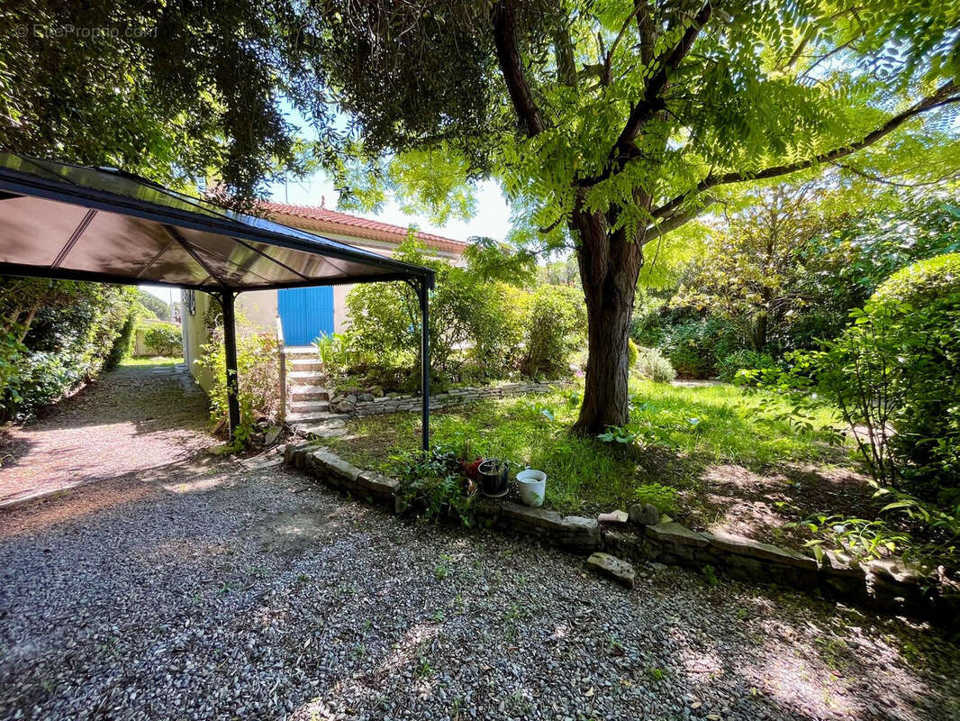 Maison à MONTPELLIER