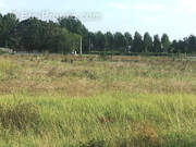 Terrain à SAINTE-FLORENCE