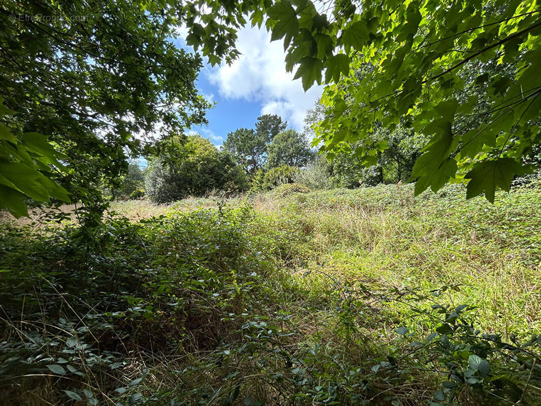 Terrain à SAINT-EVARZEC