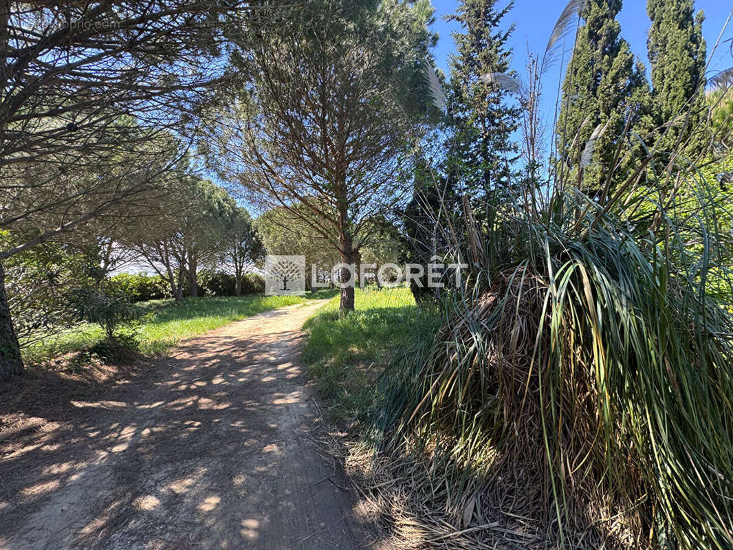 Terrain à SAINT-CYPRIEN