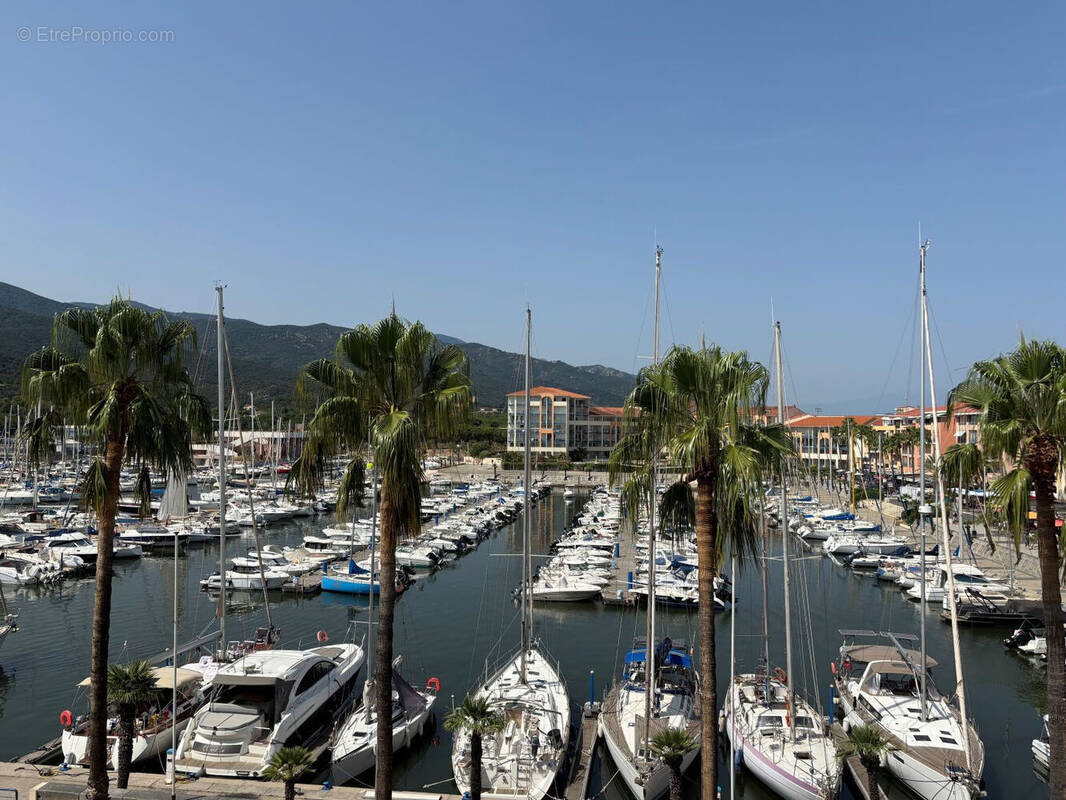 Photo 1 - Appartement à ARGELES-SUR-MER