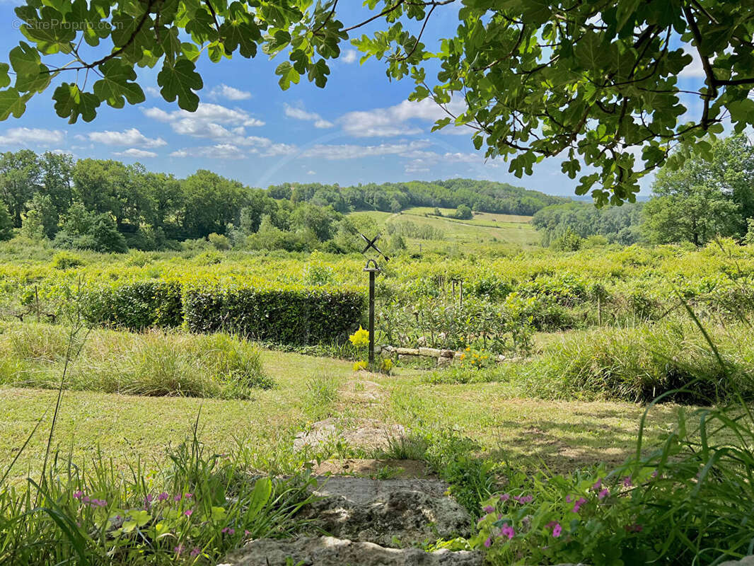 Maison à SAINT-EMILION