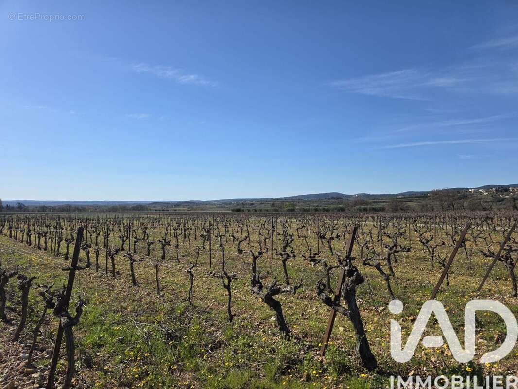 Terrain 6340 m² à Saint-Saturnin-De-Lucian  - photo 3