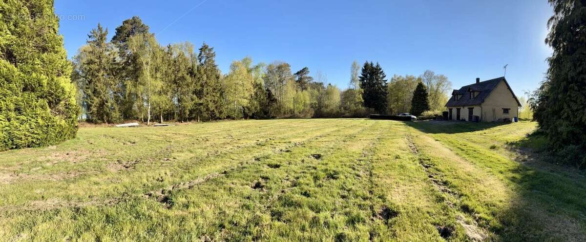 Maison neo-norman de 3ch - 7ha de terrain dont foret - sous-sol - photo 6