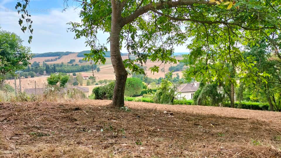 Terrain constructible Puycasquier(32120) 603m² - photo 3