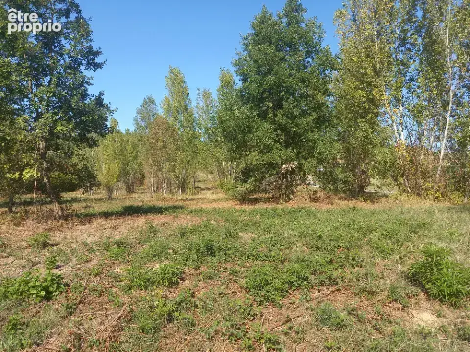 Photo Terrain à Mezens au prix de 90 000€